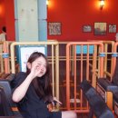 자유랜드 | 에버랜드 자유이용권 가격 할인 꿀팁, 에버랜드 동물원 티익스프레스 후기