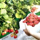 온빛 노동조합 이미지