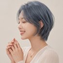 블루컷 - 군산시 공항로 118 | 성신여대 숏컷 잘하는 미용실, 인생 첫 숏컷 성공! 리프컷 무드 X 애쉬블루 염색 후기