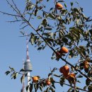 인심이네 이미지