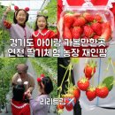 재인농장 이미지