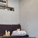 프리스틴밸리+프리스틴밸리GC+코스는 그럭저럭 특징이 없음+그러나 가을에 아름다운 골프장