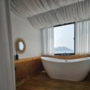 스테이-곁 이미지