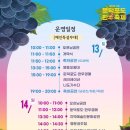 거제둔덕포도축제 티스토리