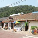 장흥서초등학교 이미지