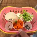 경기도 양평군 양평유치원 | 양평아이와함께 가볼만한 곳 - 굼프로곤충체험학습농장