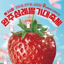 삼례중학교 | 2026 완주 삼례 딸기 축제 총정리 | 일정·프로그램·주차·체험 예약까지 한번에! 🍓