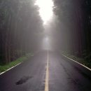 로얄당구클럽 이미지