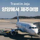 하나로13길 | 양양공항 파라타항공 제주도 비행기 후기 | 2월 제주여행 코스 추천