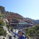태산 Daum카페