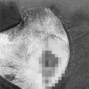 온리동물병원 이미지