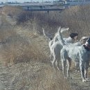 쏘올