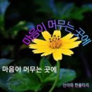 마음이머무는곳 이미지