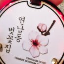 연남동벚꽃집 이미지