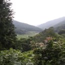 영화마을 이미지