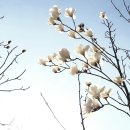 장암금강변 이미지