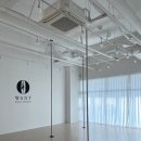원트폴댄스 | [서울/폴댄스학원] 독산역 폴댄스학원 추천 1회 무료체험 가능한 원트폴댄스 체험후기