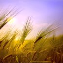 하늘과땅 이미지