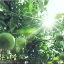 김성훈농장 이미지