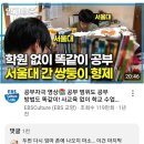 학원 없이 서울대 간 쌍둥이 형제 영상에 달린 협박 댓글 이미지