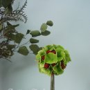 퓨어블라썸(PureBlossom)