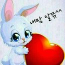 필연 Daum카페