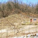 천구농장 이미지