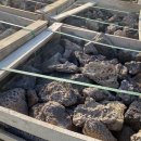 (주)계림조경자재 이미지