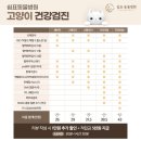 김동물병원 | 울산쉼표동물병원 고양이 스케일링 후기