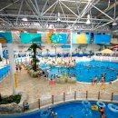 천안상록가족호텔 이미지