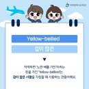 톡톡글로벌