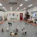 우다다 유치원 이미지