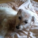 신산1리 이미지