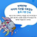 무지개 물고기 이미지