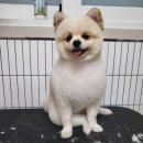 까끌레멍 이미지