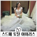 아이리스 | 스드메 웨딩 토탈 스튜디오 아이리스 촬영드레스 셀렉 후기