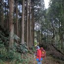 일본 서부여행길 3일차 도쿠시마~토사구레역 암본사(37번절)순례 이미지