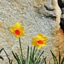 별내리는 펜션 이미지