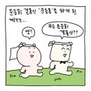 조천초등학교 | 운동회 결혼식 후기 (1) 지토툰