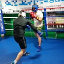 복싱코어 아카데미 이미지