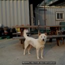 여울 - 마포구 도화2길 24-4 | 여울