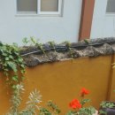 선경 사우나 이미지