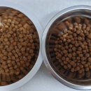 한라사료 이미지