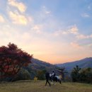 청평마루승마클럽 | 부산 어린이 체험 기장 정관 바모스 승마클럽