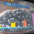 노화.혈당.빈혈에신맛.빌베리/천기누설/온라인수련/선수련/기치유/자연요법/대체의학 이미지