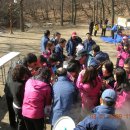 산신령구기자