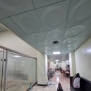 세화스쿼시 | 다양한 헬스기구가 있는 부천 세화스쿼시앤헬스 일일입장 후기