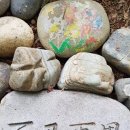 낙지아줌마 이미지