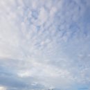 문경(양평)휴게소 이미지