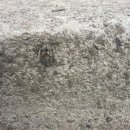 영선농장 이미지